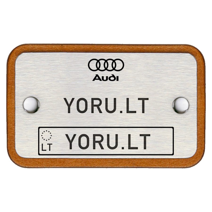 Audi4